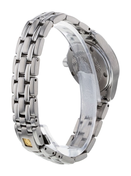 Omega Seamaster 120m 2581.31.00